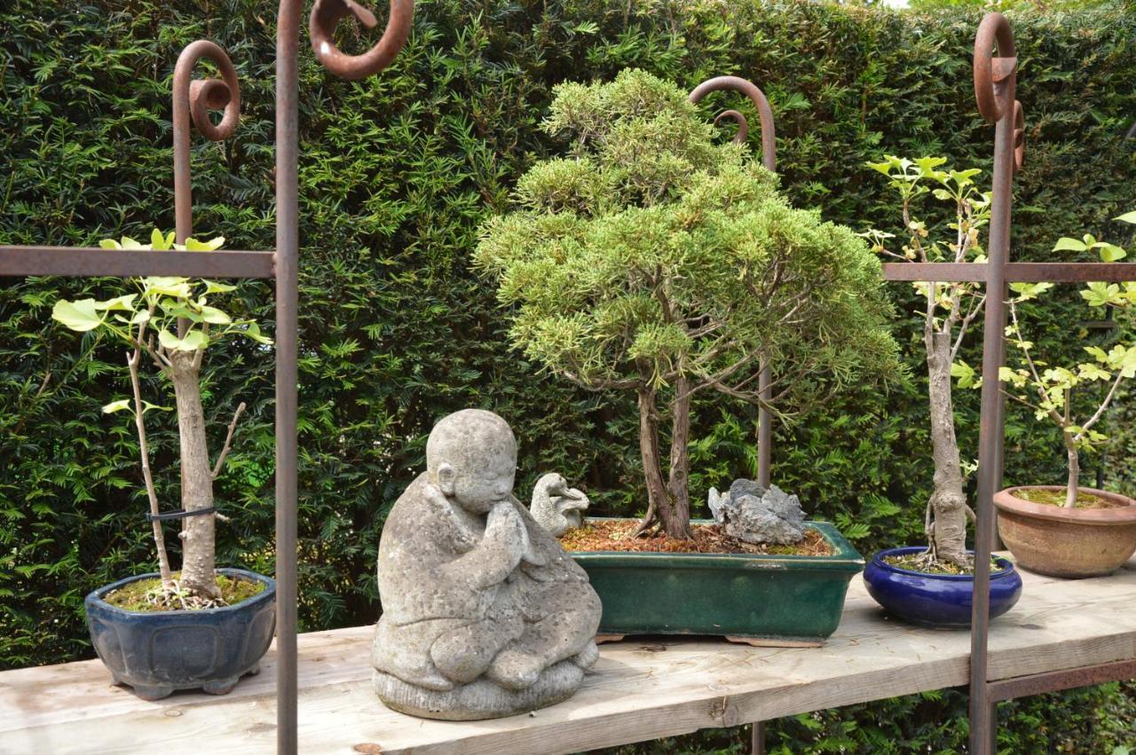 Casa Di Fiore Ospel エクステリア 写真