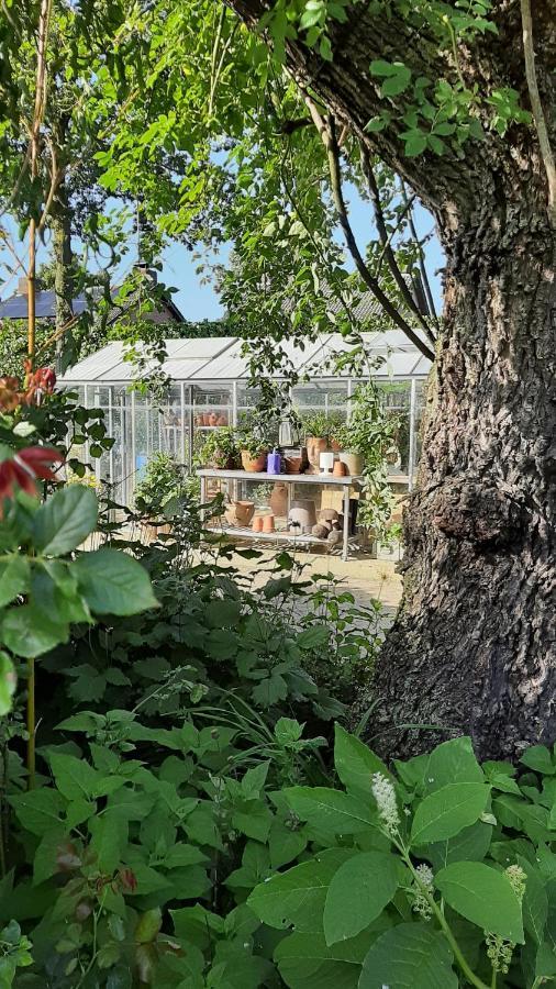 Casa Di Fiore Ospel エクステリア 写真