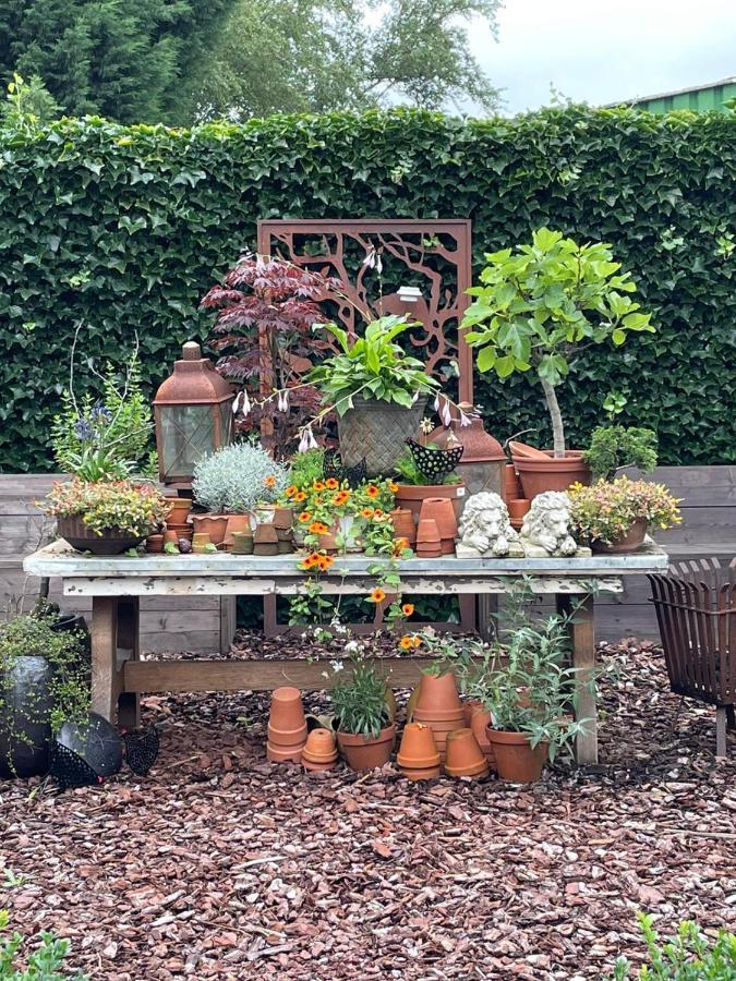 Casa Di Fiore Ospel エクステリア 写真