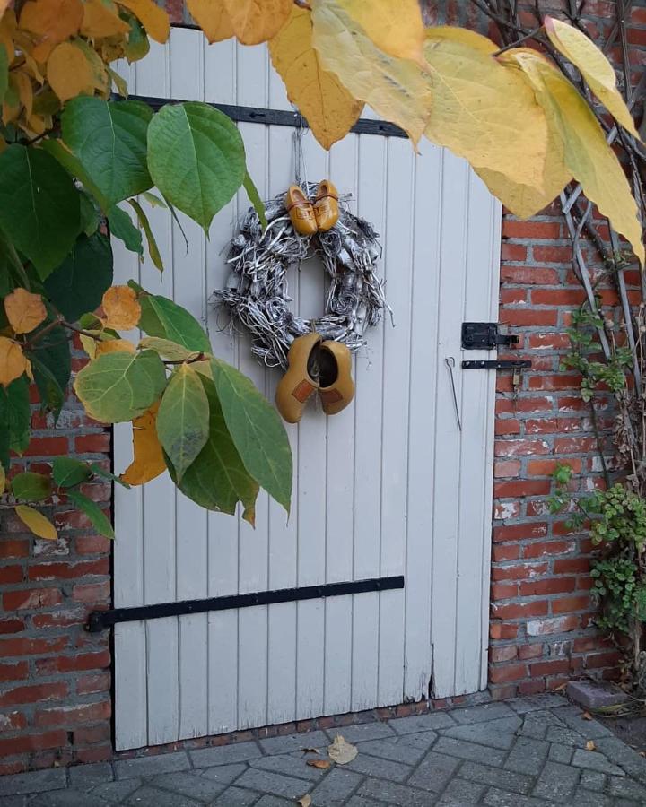 Casa Di Fiore Ospel エクステリア 写真